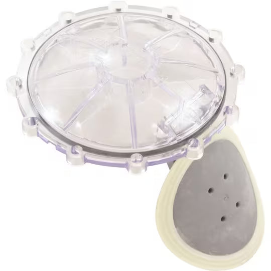 Pentair Check Valve Flapper Replacement Kit (SH5)