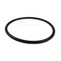 PENTAIR STRAINER COVER LID ORING FOR INTELLIFLO3 (BB3)