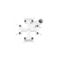 CMP TOP MANIFOLD ASSEMBLY W/ORING (SH7)