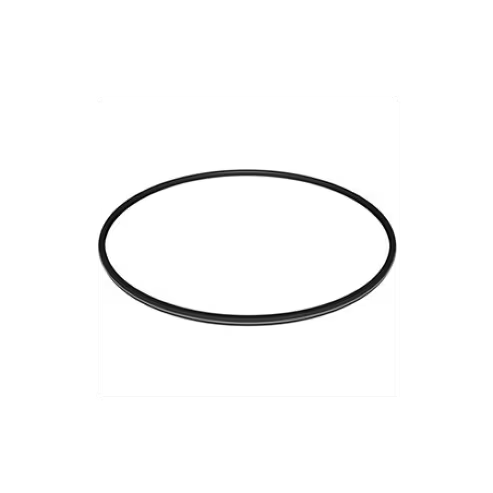 Hayward Metal-Reinforced Filter O-Ring Seal