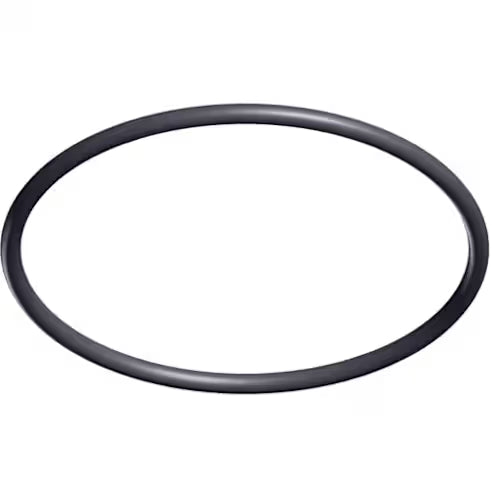 HAYWARD STRAINER COVER ORING (BB3) SIZE: 0-218