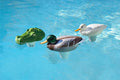 POOLMASTER CHLORINE DISPENSER MALLARD 32130