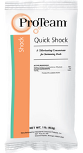 PROTEAM QUICK SHOCK 1lb POUCH C002319-CS20P