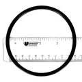 PROTECH LID ORING FOR RAINBOW CHLORINATOR (BB8) REPLACES: 172009 SIZE: 0-283