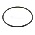 PROTECH ORING AMERICAN JACUZZI 0-24-2 STAND PIPE ORING (BB1)