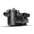 JANDY EPUMP VARIABLE RESIDENTIAL PUMP 2.7 HP 115/230V SINGLE PHASE IN GROUND W/O CONTROLLER