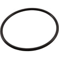 CMP POWERCLEAN ULTRA CHLORINATOR COVER ORING 0-14 (BB8)