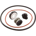 POLARIS ORING SET W/DRAIN PLUG PB4SQ R0734300(CC4)